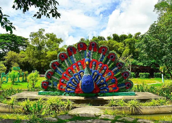 Dara Express By Angkor Gardens Phumi Thnal